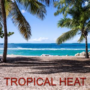 Listen to Your Love(feat. Néha & Bertrand Lacoste) song with lyrics from Sterkøl