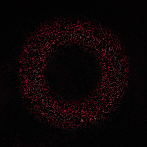 收听shoooonya的RED DOT歌词歌曲