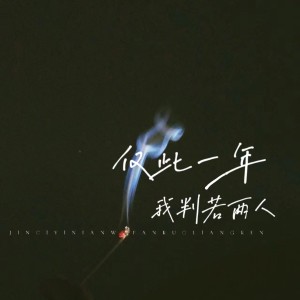 Album 仅此一年我判若两人 from 文森