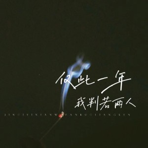 Album 仅此一年我判若两人 oleh 文森