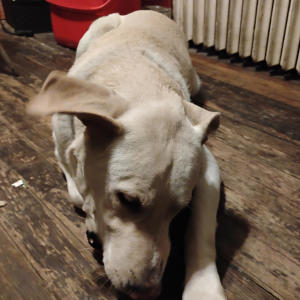 收聽Big Backwoods的Hermitage (feat. Fony Wallace) (Explicit)歌詞歌曲