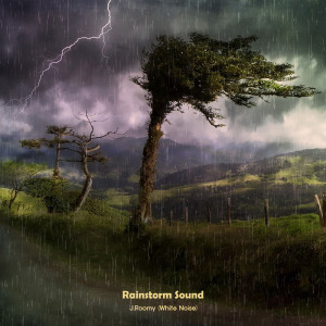ดาวน์โหลดและฟังเพลง Rainstorm Sound (ASMR, Nature Sound) พร้อมเนื้อเพลงจาก J.Roomy
