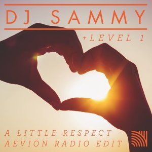 DJ Sammy的專輯A Little Respect