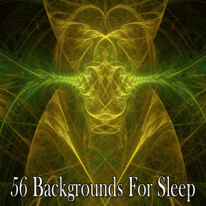 Einstein Baby Lullaby Academy的专辑56 Backgrounds for Sleep