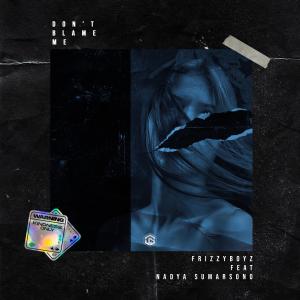 Listen to Don't Blame Me(feat. Nadya Sumarsono) song with lyrics from Frizzyboyz