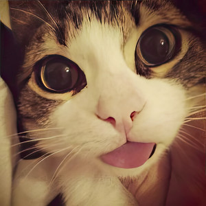 收聽sukitox的Fatal歌詞歌曲