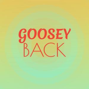 Listen to Goosey Back song with lyrics from Hmed Arto