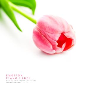 Listen to The warmth of spring song with lyrics from Phrygia