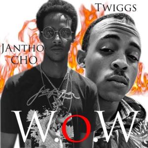 Twiggy Aka Thunderous Contender的專輯Wow (feat. JAntho CHO) [Remix] (Explicit)
