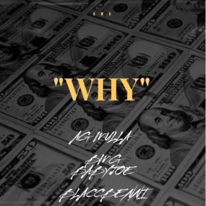 ดาวน์โหลดและฟังเพลง WHY (Explicit) พร้อมเนื้อเพลงจาก Bmg Babyjoe