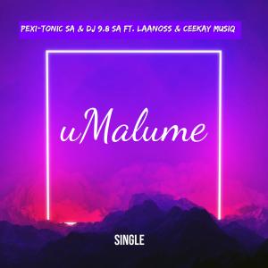 อัลบัม uMalume (feat.Laanoss & Ceekay Musiq) ศิลปิน Laanoss