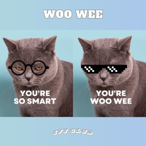 Listen to WOO WEE song with lyrics from RICK NOVA