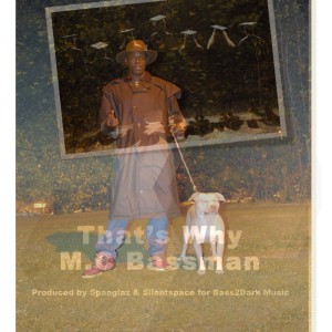Listen to Thats Why song with lyrics from M C.Bassman