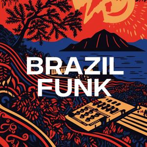 Listen to Brazil Funk song with lyrics from Ashutosh