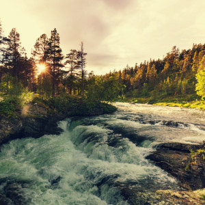 Flowing Harmony: River's Serenading Tunes
