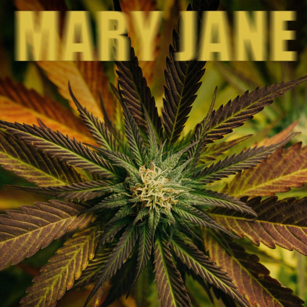 Mary Jane (Explicit)