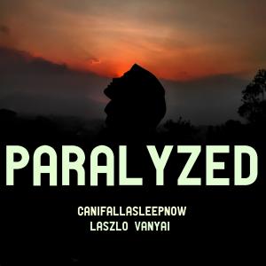 ดาวน์โหลดและฟังเพลง Paralyzed (feat. Canifallasleepnow) พร้อมเนื้อเพลงจาก Laszlo Vanyai