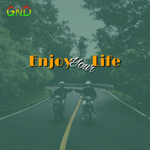 Listen to Enjoy Your Life song with lyrics from GND