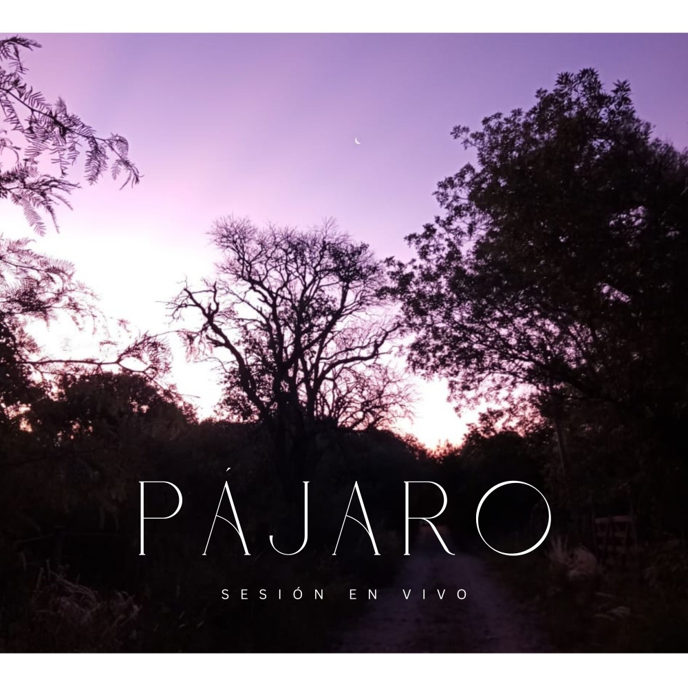 Pájaro (En vivo)