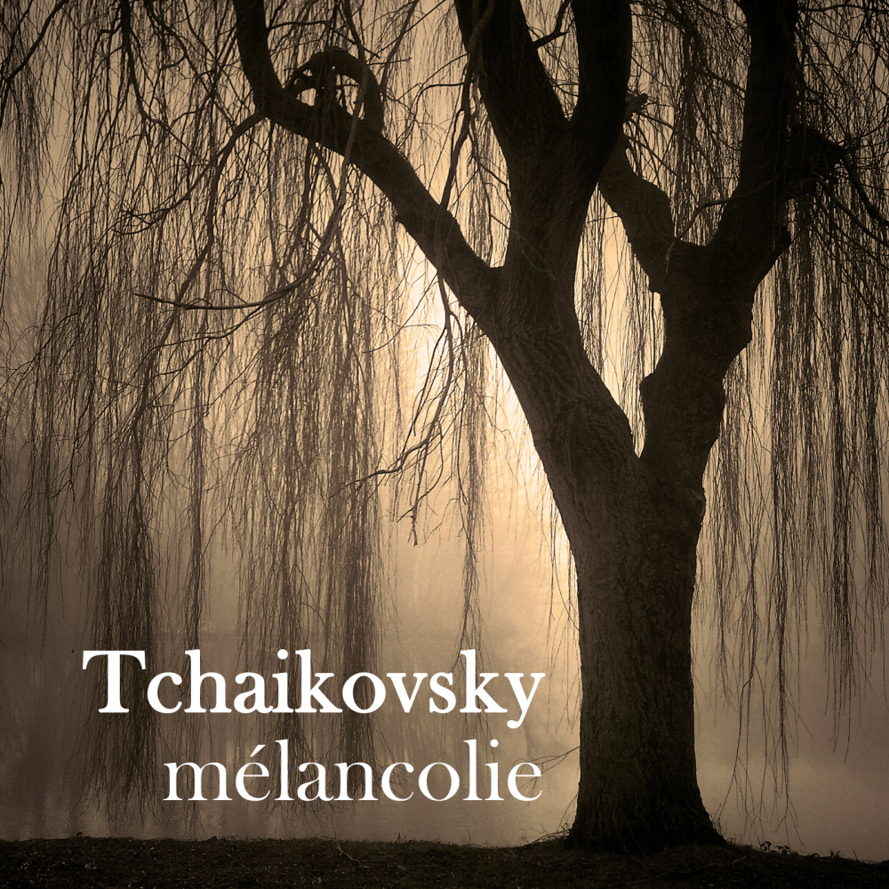 Tchaikovsky: Piano Concerto No. 1 In B Flat Minor, Op. 23, TH.55 - 2. Andantino semplice - Prestissimo