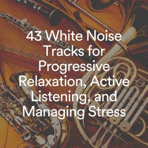 White Noise的專輯43 White Noise Tracks for Progressive Relaxation, Active Listening, and Managing Stress