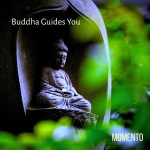 Album Buddha Guides You (Loopable Temple Version) from Momento