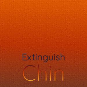 收听Mian Taylon的Extinguish Chin歌词歌曲