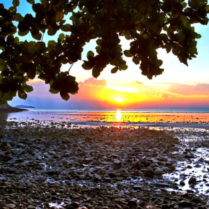 Dengarkan lagu Eco-Friendly Meditation Time (Melody To Become One With Mother Nature) nyanyian 명상하기 dengan lirik