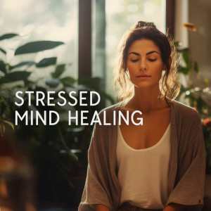 Album Stressed Mind Healing (162 Hz for Meditative Focus, Mental Zen Sound Therapy) oleh Relax Time Universe