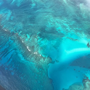 ดาวน์โหลดและฟังเพลง Delray Derelict พร้อมเนื้อเพลงจาก Shaan James