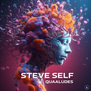 Steve Self的專輯Quaaludes