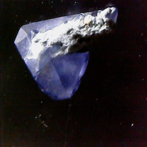 ดาวน์โหลดและฟังเพลง Ornithral พร้อมเนื้อเพลงจาก Louis Edward Francis David Michael Mills