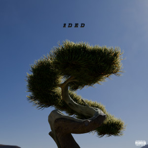 Album 2ded (Explicit) from Anthony 1999