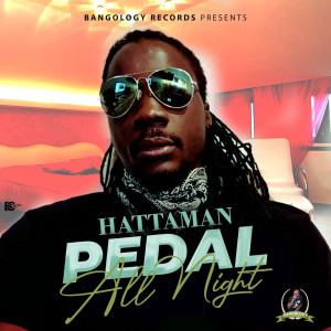 Listen to Pedal All Night song with lyrics from Hattaman