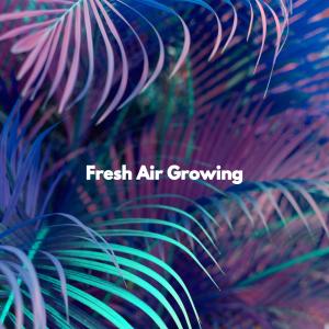 Album Fresh Air Growing from Chill Jazz-Lounge