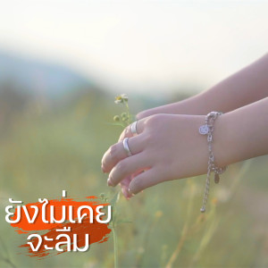 Listen to ยังไม่เคยจะลืม song with lyrics from Winstyle