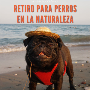 Suave al aire libre的專輯Retiro Para Perros En La Naturaleza: Serenata Oceánica