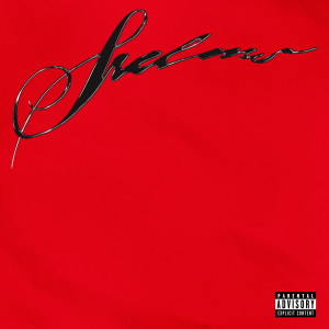 Album SKIMS (Explicit) from OBLADAET