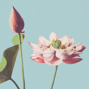 Listen to Infinite Spring song with lyrics from Shrines