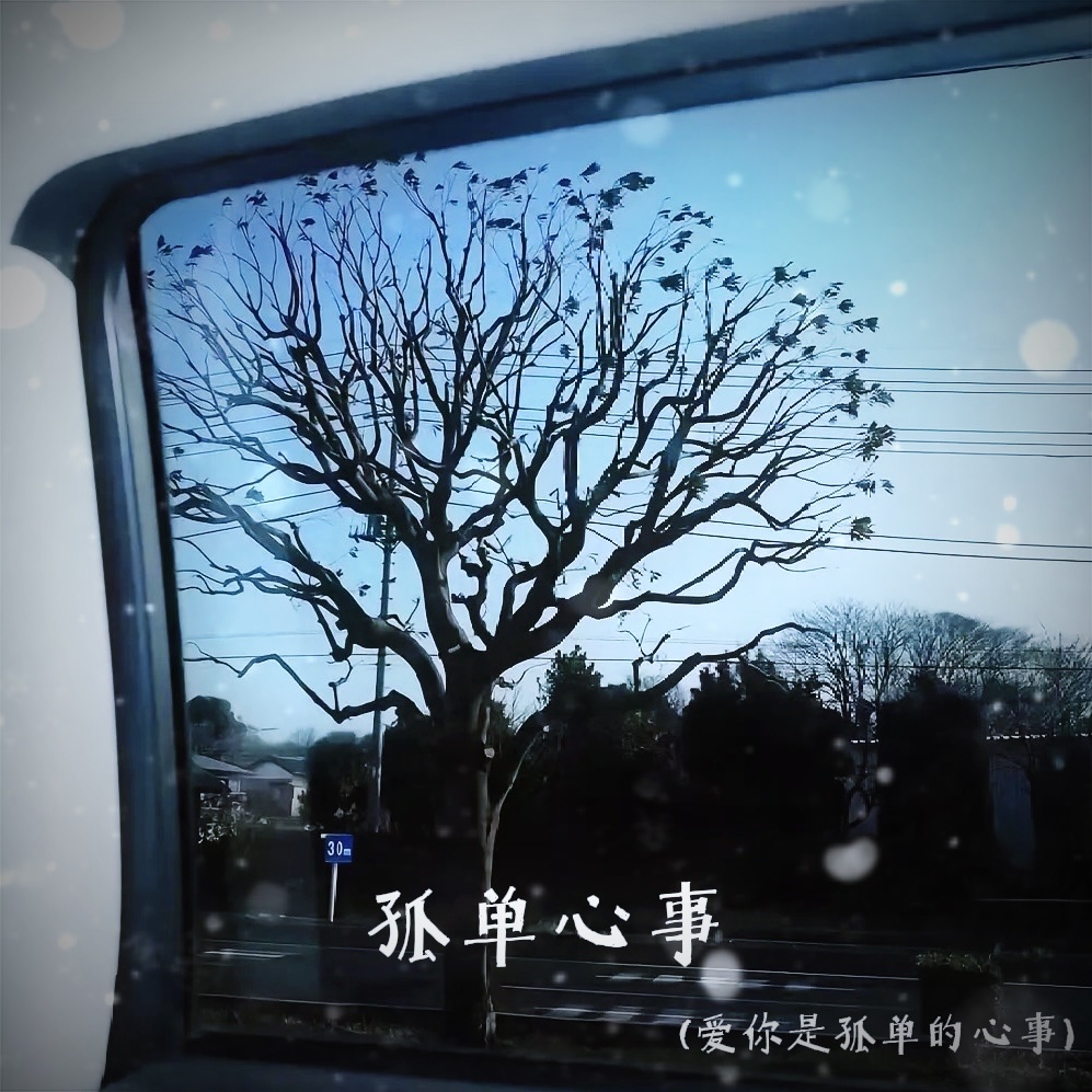 孤单心事（爱你是孤单的心事）