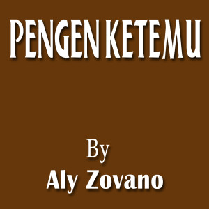 Listen to Pengen Ketemu (Tarling Remix) song with lyrics from Aly Zovano