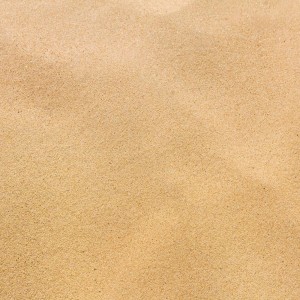 LEON (딥상어)的專輯SAND CASTLE