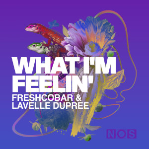 收聽Freshcobar的What I'm Feelin' (Extended Mix)歌詞歌曲