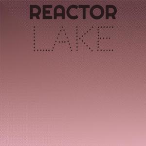 Album Reactor Lake from Various