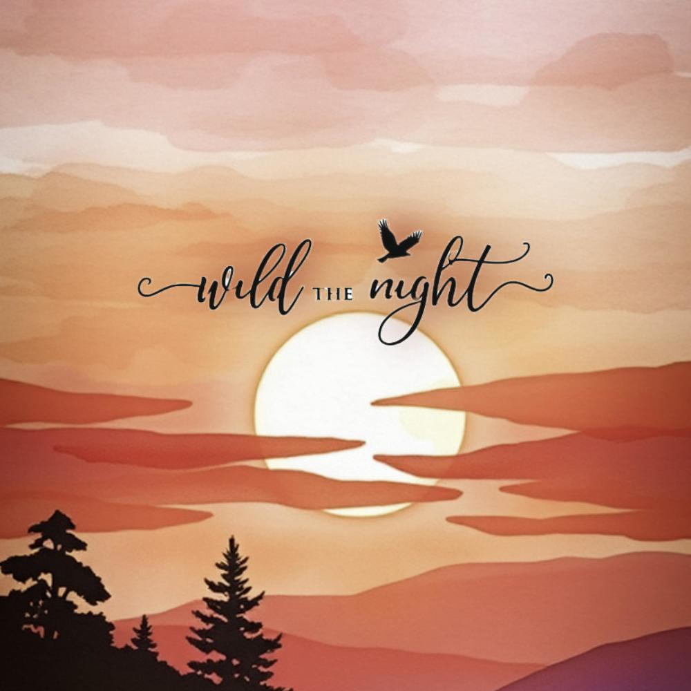 Wild 4 the Night (Explicit)
