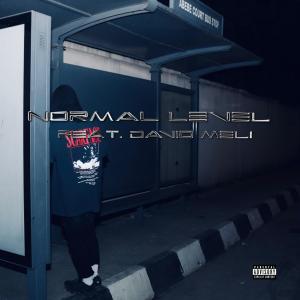 收聽Aife的NORMAL LEVEL (feat. David Meli) (Explicit)歌詞歌曲