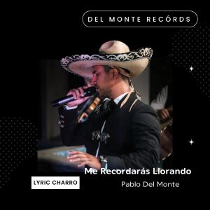 收聽Pablo del Monte的Me Recordarás Llorando歌詞歌曲