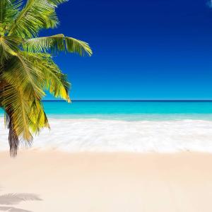 Listen to koopa beach song with lyrics from Kobe Banks