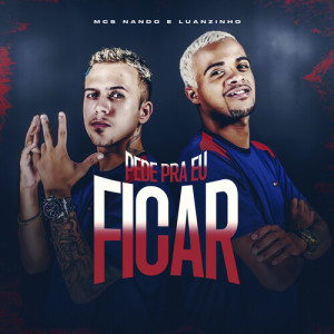 Album Pede Pra Eu Ficar from Mcs Nando and Luanzinho