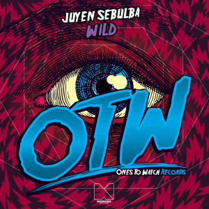 Listen to Wild (Original Mix) song with lyrics from Juyen Sebulba